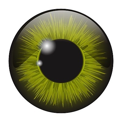 EPS 해외이미지 학생 디자인 응시 백그라운드 일러스트 공 해부 추상 미술 사람 그래픽 초록색 파란색 빛 컬러풀 반사 갈색 회색 흰색 원형 눈동자 심볼 흰배경 질감 시력 비전 붓꽃 개암나무 고립 엘리먼트 여의주 스타일 현실 해외202004 해외일러스트 도형 나무 시선 꽃 컬러 무늬 의학 문화예술 눈 안구 파일형식 벡터 이미지허브