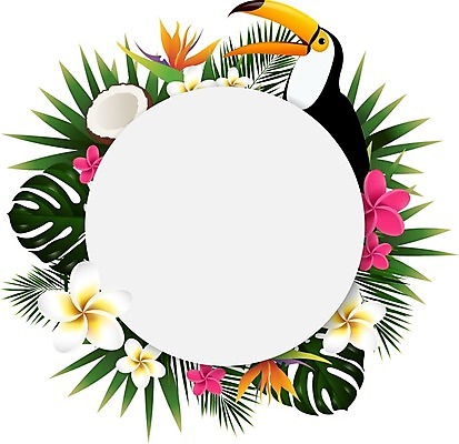 EPS 해외이미지 배너 꽃 산업 과일 일러스트 조류 수박 사람없음 쇼핑 태양 라벨 세일 코코넛 해외202004 해외일러스트 자연요소 식물 동물 프레임 파일형식 벡터 이미지허브