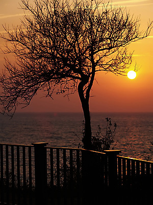 포토 JPG 해외이미지 나무 구름 실루엣 바다 여행 잎 자연 하늘 휴가 휴식 사람없음 여름 여행객 일몰 휴양지 천국 해외202004 해외포토 자연요소 식물 계절 컨셉 촬영기법 사람 노을 장소 생태계 파일형식 이미지허브