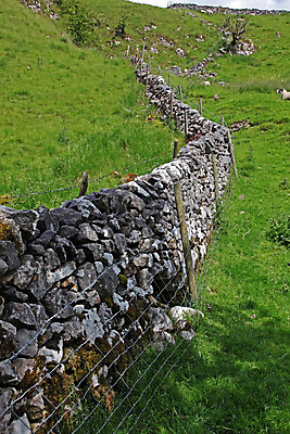 포토 JPG 해외이미지 나무 공원 벽 패턴 밭 건축양식 자연 하늘 영국 잉글랜드 건조 국립공원 풍경 사람없음 건물 초록색 걷기 트래킹 바위 시골 묘사 언덕 땅바닥 옛날 절정 해외202004 해외포토 식물 건축물 공공시설 건축 유럽 컬러 무늬 농업 모션 레저 바닥 돌_바위 생태계 파일형식 이미지허브