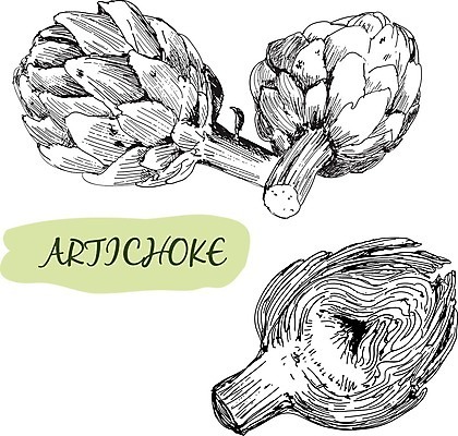 EPS 해외이미지 디자인 음료 백그라운드 컨셉 농업 다이어트 일러스트 국화 요리 미술 그래픽 장식 농작물 검은색 수확 골동품 나뭇가지 우아함 낙서 만화 수집 먹기 그림 에코 클립 손그림 구성 바이오 식용 아티초크 해외202004 해외일러스트 나무 꽃 산업 컬러 모션 문화예술 건강 환경 파일형식 벡터 이미지허브