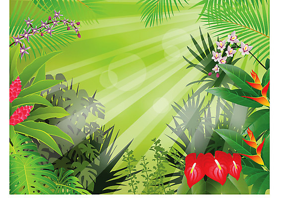 EPS 해외이미지 나무 식물 계절 꽃 야생동물 백그라운드 잎 일러스트 자연 아침 프레임 손바닥 풍경 야외 목재 초록색 여름 태양 환경 봄 숲 신비 열대우림 천국 내추럴 아마존 해외202004 해외일러스트 주간 자연요소 동물 손 컬러 컨셉 재료 생태계 파일형식 벡터 이미지허브