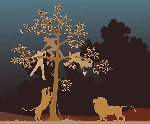 EPS 해외이미지 나무 남자 야생동물 일러스트 포유류 아프리카 자연 사람 그래픽 컬러풀 갈색 고양이 자르기 탈출 사파리 사냥 오르기 윤곽 육식동물 암사자 해외202004 해외일러스트 식물 동물 나라 컬러 컨셉 모션 반려동물 사자 암컷 생태계 파일형식 벡터 이미지허브