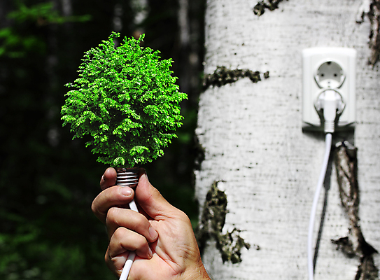 포토 JPG 해외이미지 나무 컨셉 전구 자연 아이디어 사람없음 초록색 빛 환경 재활용 에너지 절약 그린에너지 콘센트 플러그 보호 에코 자원 생태학 효율 해외202004 해외포토 식물 교육 컬러 친환경 생태계 파일형식 이미지허브