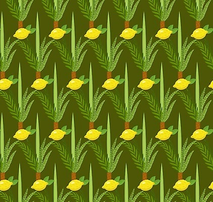 EPS 해외이미지 식물 전통 디자인 행복 종교 문화 백그라운드 잎 패턴 과일 일러스트 휴가 귤 종류 손바닥 장식 축제 흰색 나뭇가지 축하 인사 4 레몬 버드나무 심볼 유대인 고립 유태교 이스라엘 해외202004 해외일러스트 나무 손 감정 컬러 컨셉 무늬 숫자 예절 서아시아 파일형식 벡터 이미지허브