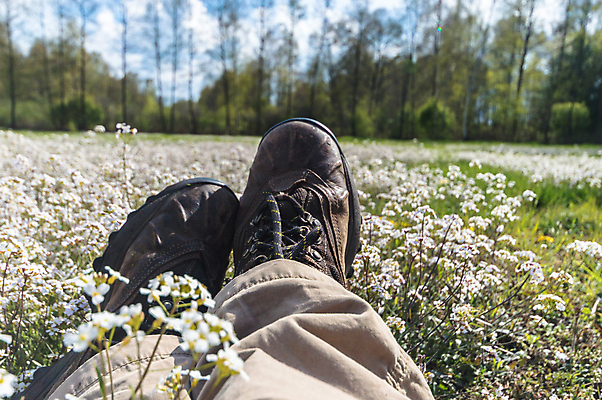 포토 JPG 해외이미지 나무 식물 구름 계절 꽃 백그라운드 잎 밭 농업 자연 하늘 아침 날씨 풍경 잔디 사람없음 야외 초록색 여름 파란색 빛 컬러풀 햇빛 태양 농장 노란색 일출 환경 맑음 일몰 봄 자유 성장 흰색 시골 신선 땅 장면 내추럴 수평선 해외202004 해외포토 주간 자연요소 산업 컬러 컨셉 노을 생태계 파일형식 이미지허브