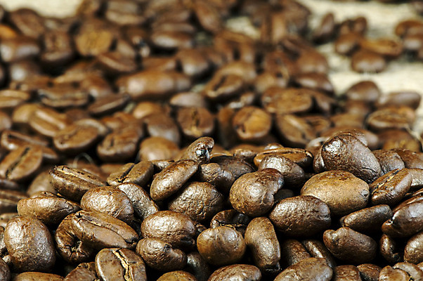 포토 JPG 해외이미지 전통 커피 음료 음식 백그라운드 농업 다이어트 재료 자연 콩 씨앗 사람없음 갈색 검은색 어둠 카페 에너지 신선 그룹 맛 낟알 굽기 질감 향기 아로마 결 향 흙더미 내추럴 모카 아라비카 아랍어 카페인 카피스페이스 해외202004 해외포토 식물 산업 컬러 컨셉 무늬 곡류 건강 상점 흙 공백 구이 생태계 냄새 파일형식 더미 이미지허브