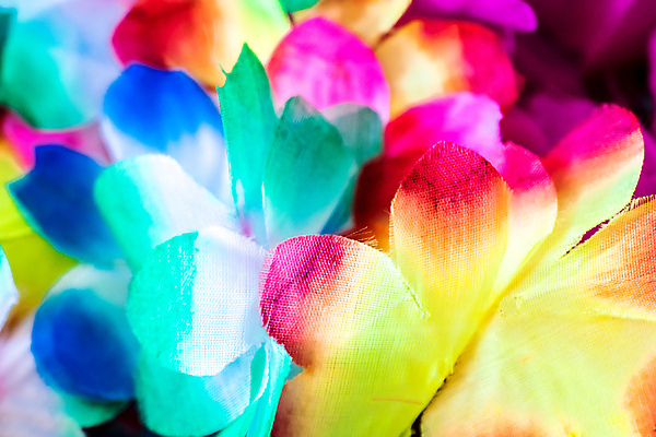 포토 JPG 해외이미지 식물 꽃잎 꽃 분홍색 꽃다발 꽃무늬 자연 휴가 사람없음 장식 빨간색 초록색 노란색 정원 보라색 봄 튤립 벚꽃 신선 난초 하와이인 해외202004 해외포토 외국인 계절 컬러 무늬 생태계 파일형식 이미지허브