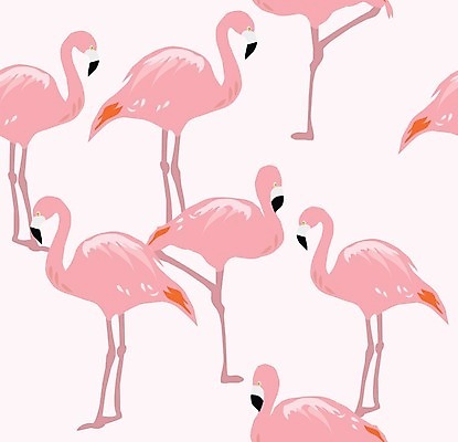 EPS 해외이미지 동물 응시 야생동물 분홍색 포즈 백그라운드 일러스트 아프리카 자연 조류 생물 멕시코 빨간색 빛 장미 머리 산책 활발 흰색 큼 플라밍고 깃털 부리 목 내추럴 동물상 생존 해외202004 해외일러스트 시선 꽃 나라 컬러 컨셉 북아메리카 휴식 신체부위 조형물 크기 생태계 파일형식 벡터 이미지허브