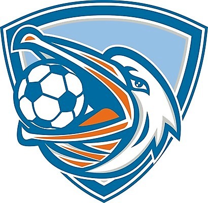 EPS 해외이미지 일러스트 공 조류 그래픽 머리 축구 올려보기 입 펠리컨 복고 부리 방패 물새 계산서 해외202004 해외일러스트 동물 모션 신체부위 구기 파일형식 벡터 이미지허브