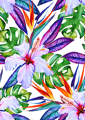 포토 JPG 해외이미지 식물 손 수영복 꽃 행복 분홍색 섬 백그라운드 잎 꽃무늬 일러스트 휴가 수채화 손바닥 사람없음 여름 유행 정원 그림 질감 하와이 강렬 이국적 파라다이스 히비스커스 스타일 알로하 해외202004 해외포토 옷 계절 감정 컬러 무늬 신체부위 미국 인사 파일형식 이미지허브