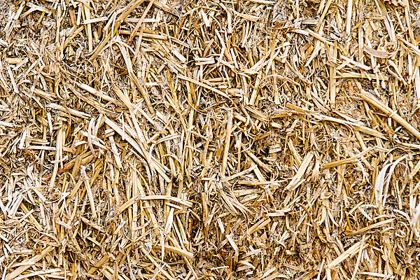 포토 JPG 해외이미지 음식 백그라운드 밭 농업 자연 벽지 사람없음 야외 농작물 농장 농경지 갈색 환경 수확 가을 시골 건초더미 볏짚 유기농 질감 뭉치 내추럴 밭일 해외202004 해외포토 웰빙 계절 산업 컬러 건초 짚 생태계 파일형식 더미 이미지허브