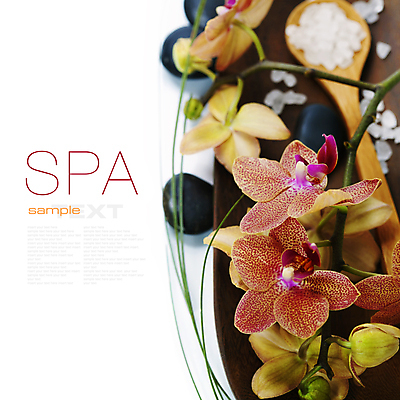 포토 JPG 해외이미지 꽃 잎 사람없음 스파 조약돌 스파용품 나무스푼 카피스페이스 입욕소금 해외포토 식물 공백 돌_바위 미용용품 오브젝트 소금 나무숟가락 파일형식 이미지허브