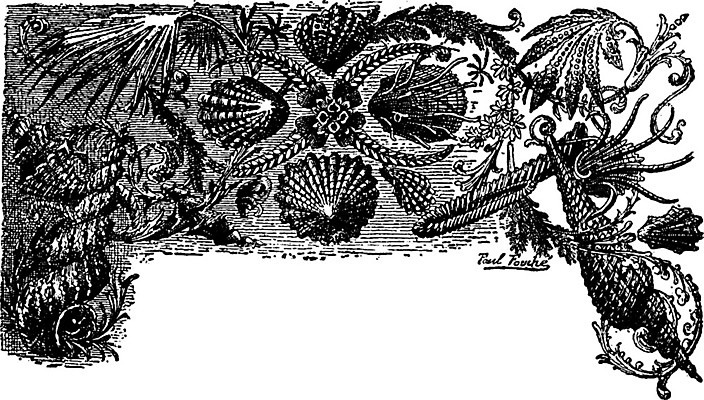 EPS 해외이미지 식물 동물 디자인 일러스트 미술 세계 검은색 수확 골동품 흰색 시간 스케치 그림 생물학 페이지 화석 고생물 판화 멸종 선사시대 원시시대 기간 동물상 옛날 지질 지질학 해외202004 해외일러스트 교육 컬러 농업 문화예술 생물 조형물 역사 파일형식 벡터 이미지허브