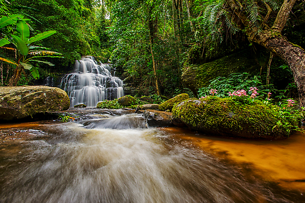 포토 JPG 해외이미지 나무 식물 공원 백그라운드 잎 모션 태국 자연 휴가 휴식 풍경 사람없음 목재 초록색 물 강 수영 봄 활발 폭포 젖음 흐름 성장 가을 신선 개울 숲 순수 천국 이국적 전국 파라다이스 해외202004 해외포토 자연요소 계절 공공시설 아시아 컬러 컨셉 재료 수상스포츠 생태계 파일형식 이미지허브