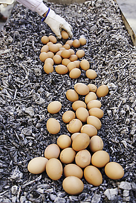 포토 JPG 해외이미지 아이콘 전통 문화 음식 백그라운드 재료 태국 따뜻함 건강 요리 사람 사람없음 갈색 노란색 계란 식사 치킨 튀김 흰색 시골 신선 뜨거움 그룹 시장 닫기 맛 그릴 아침식사 바비큐 굽기 먹기 속도 유기농 점심식사 고립 단백질 스타일 해외202004 해외포토 웰빙 아시아 컬러 컨셉 모션 주방용품 알 구이 닭고기요리 영양소 파일형식 이미지허브