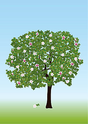 EPS 해외이미지 나무 식물 1 디자인 계절 꽃 줄기 분홍색 백그라운드 잎 꽃무늬 일러스트 자연 하늘 미술 그래픽 초록색 보라색 봄 성장 나뭇가지 그리기 우아함 떨어짐 싱글 그림 목련 해외202004 해외일러스트 컬러 컨셉 무늬 모션 문화예술 생태계 파일형식 벡터 이미지허브