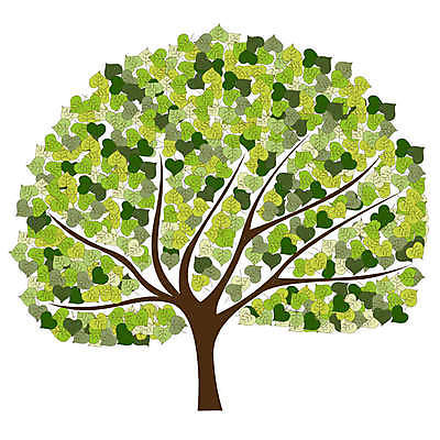 EPS 해외이미지 클립아트 나무 식물 디자인 계절 공원 줄기 백그라운드 잎 일러스트 자연 왕관 나선형 미술 풍경 야외 목재 그래픽 장식 여름 정원 페인트 소용돌이 가을 나뭇가지 숲 그림 공상 고립 스타일 해외202004 해외일러스트 공공시설 무늬 재료 문화예술 회오리 생태계 파일형식 벡터 이미지허브