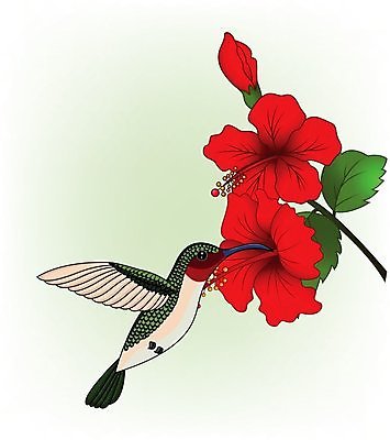 EPS 해외이미지 식물 여자 꽃 야생동물 백그라운드 일러스트 자연 조류 미술 취미 야외 빨간색 초록색 정원 벚꽃 흰색 관찰 작음 꿀 동물상 루비 벌새 수유 취급주의 히비스커스 해외202004 해외일러스트 동물 컬러 모션 문화예술 경고 사람 조형물 크기 보석 생태계 파일형식 벡터 이미지허브