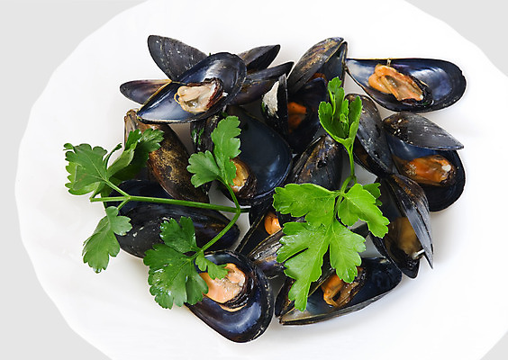 포토 JPG 해외이미지 접시 음식 바다 다이어트 채소 양파 조개 연체동물 파슬리 건강 마늘 어류 요리 사람없음 주방 식당 식사 저녁식사 이탈리아 신선 지중해 허브 해산물 소금 홍합 칼로리 점심식사 삶기 해외202004 해외포토 식물 식기 유럽 어패류 무척추동물 상점 수중동물 파일형식 이미지허브