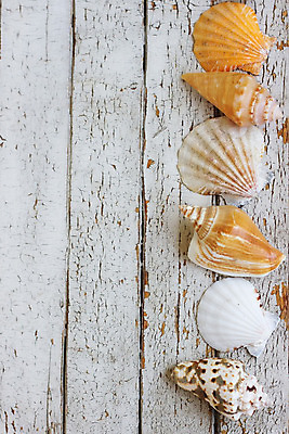 포토 JPG 해외이미지 디자인 바다 여행 백그라운드 컨셉 오렌지 목걸이 자연 벽지 휴가 조개 새로움 바닥 프레임 항해 어류 사람없음 야외 목재 장식 공백 수확 껍질 흰색 그물 소라 널 갑판 수집 질감 엽서 해군 남쪽 구슬장식 옛날 카피스페이스 세련 해외202004 해외포토 나무 컬러 농업 배_교통 과일 재료 장신구 어패류 군대 수중동물 편지 방향 구슬 생태계 파일형식 이미지허브