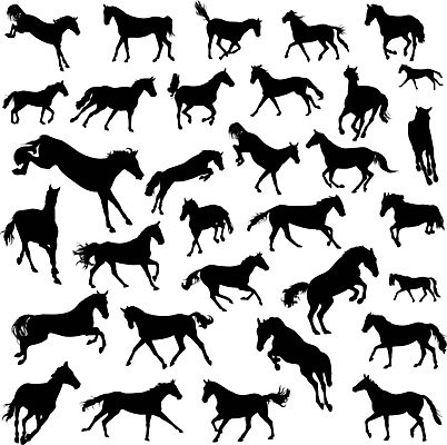 EPS 해외이미지 모양 동물 디자인 실루엣 일러스트 자연 달리기 점프 검은색 힘 그룹 수집 윤곽 갈기 망아지 반항 고립 방목장 해외202004 해외일러스트 새끼 컬러 모션 촬영기법 말_동물 생태계 파일형식 벡터 이미지허브