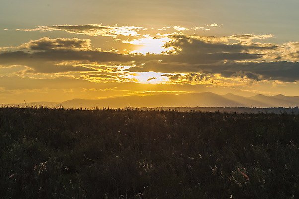 포토 JPG 해외이미지 나무 응시 공원 야생동물 여행 백그라운드 아프리카 자연 산 풍경 사람없음 머리 일몰 사자 큼 왕 땅 사파리 리더 케냐 사자자리 사바나 웅장함 전국 해외202004 해외포토 식물 동물 시선 공공시설 나라 포유류 신체부위 노을 별자리 크기 생태계 파일형식 이미지허브