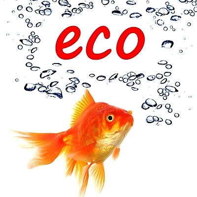 포토 JPG 해외이미지 동물 바다 자연 어류 사람없음 물 단어 환경 거품 흰색 메시지 에코 생태계 금붕어 내추럴 바이오 생태학 해외202004 해외포토 자연요소 문자 교육 컬러 수중동물 파일형식 이미지허브