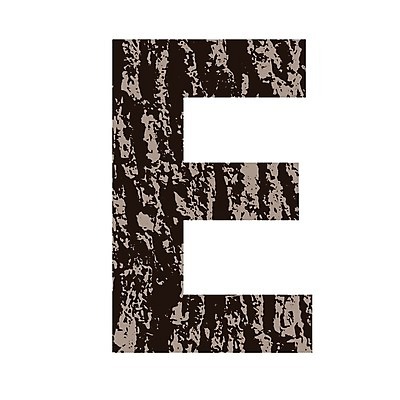 EPS 해외이미지 모양 나무 식물 템플릿 알파벳 조각 백그라운드 패턴 일러스트 텍스트 자연 타이포그라피 목재 그래픽 장식 단어 갈색 그리기 편지 심볼 묘사 오브젝트 흔적 사인 그림 질감 나무껍질 타입 내추럴 고립 구두점 수목 엘리먼트 옛날 노화 스타일 해외202004 해외일러스트 문자 영어 컬러 컨셉 무늬 재료 모션 껍질 생태계 구두상점 파일형식 벡터 상점 이미지허브