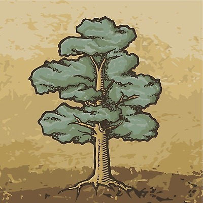 EPS 해외이미지 나무 식물 백그라운드 일러스트 자연 선탠 숲 스케치 상록수 그런지 목판화 세피아 해외202004 해외일러스트 촬영기법 미술 생태계 파일형식 벡터 이미지허브