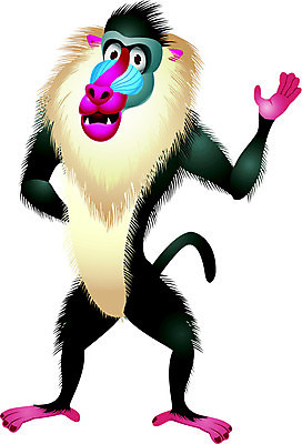 EPS 해외이미지 동물 캐릭터 손 행복 야생동물 어린이 백그라운드 일러스트 포유류 응원 아프리카 자연 동물원 미술 서기 미소 초록색 원숭이 숲 만화 사파리 호기심 그림 귀 유인원 침팬지 고립 마스코트 해외202004 해외일러스트 일러캐릭터 감정 나라 컬러 컨셉 모션 문화예술 표정 사람 신체부위 생태계 파일형식 벡터 이미지허브