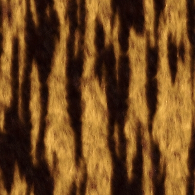 포토 JPG 해외이미지 백그라운드 패턴 일러스트 사람없음 3D 호랑이 피부 언덕 그림 질감 숨김 해외202004 해외포토 컨셉 무늬 포유류 신체부위 디지털합성 파일형식 이미지허브