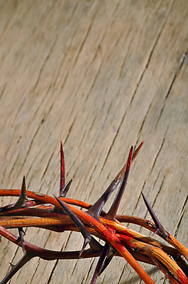 포토 JPG 해외이미지 디자인 기독교 종교 패턴 휴가 왕관 부활절 그림자 사람없음 목재 믿음 고통 나뭇가지 직물 면 얼룩 원형 예수 가시 구출 왕 4월 삼베 심볼 오브젝트 사인 열정 캔버스 섬유 고립 귀족 금요일 신앙심 해외202004 해외포토 도형 나무 기념일 감정 무늬 재료 도움 신_종교 날짜 요일 파일형식 천_직물 이미지허브