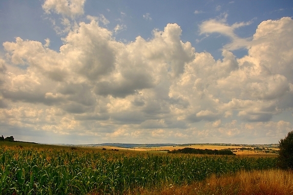 포토 JPG 해외이미지 구름 밭 농업 자연 하늘 바람 풍경 사람없음 야외 초록색 여름 파란색 농장 농경지 평화 맑음 수확 흰색 시골 큼 엽서 내추럴 밭일 수평선 목가 해외202004 해외포토 자연요소 계절 산업 컬러 컨셉 날씨 크기 편지 생태계 파일형식 이미지허브