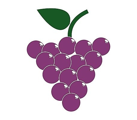 EPS 해외이미지 식물 디자인 열매 선 음식 잎 농업 과일 일러스트 포도 디저트 그래픽 와인 플랫 달콤 먹기 심볼 사인 유기농 심플 윤곽 포도나무 내추럴 고립 숙성 양조장 채식주의자 타격 미니멀 해외202004 해외일러스트 웰빙 산업 모션 주류 맛 과일나무 채식 파일형식 벡터 이미지허브