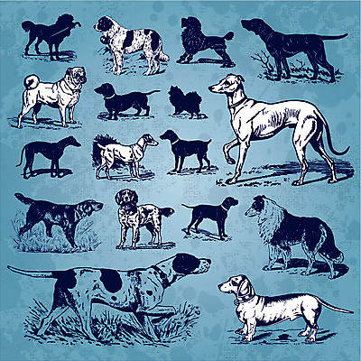 EPS 해외이미지 동물 디자인 실루엣 백그라운드 일러스트 포유류 자연 동물원 미술 그래픽 장식 반려동물 세트 수확 골동품 성자 개 인쇄 닥스훈트 수집 향수 그림 복고 푸들 사냥개 과거 판화 그런지 동물상 마스티프 목판화 충고 해외202004 해외일러스트 종교 컨셉 농업 문화예술 촬영기법 조형물 화장품 생태계 파일형식 벡터 이미지허브