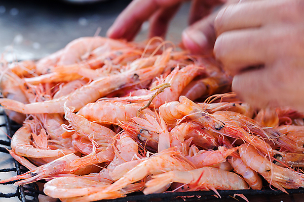 포토 JPG 해외이미지 동물 음식 바다 백그라운드 다이어트 재료 아프리카 낚시 새우 건강 3 어류 요리 사람없음 빨간색 식당 얼음 저녁식사 흰색 신선 잡기 시장 고급 닫기 맛 은색 가난 해산물 오징어 유기농 날것 도미 소금 포트 자원 유지 매각 오메가 해외202004 해외포토 자연요소 웰빙 나라 컬러 컨셉 모션 레저 연체동물 갑각류 상점 식사 수중동물 파일형식 이미지허브