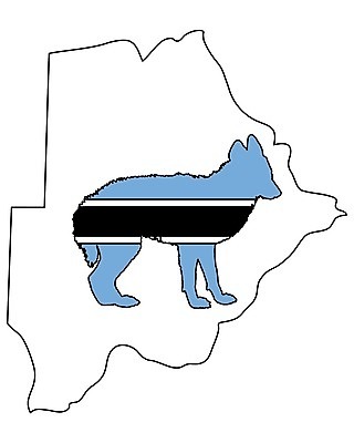 EPS 해외이미지 동물 배너 실루엣 백그라운드 일러스트 아프리카 파란색 검은색 흰색 깃발 개 먹이 심볼 사인 육식동물 고립 동물상 보츠와나 전국 해외202004 해외일러스트 나라 컬러 포유류 촬영기법 조형물 파일형식 벡터 이미지허브