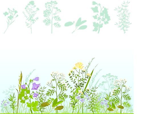 EPS 해외이미지 식물 계절 꽃 실루엣 밭 일러스트 자연 치료 여름 약 농장 정원 칼날 차 약초 약국 허브 원예 심플 내추럴 그린란드 해외202004 해외일러스트 음료 섬 농업 의학 촬영기법 덴마크 취미 풀_식물 생태계 파일형식 벡터 이미지허브