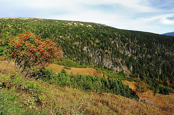포토 JPG 해외이미지 나무 구름 계절 유럽 여행 백그라운드 자연 하늘 휴가 산 파노라마 풍경 사람없음 야외 초록색 환경 계곡 안개 가을 숲 언덕 내추럴 해외202004 해외포토 자연요소 식물 나라 컬러 날씨 촬영기법 생태계 파일형식 이미지허브