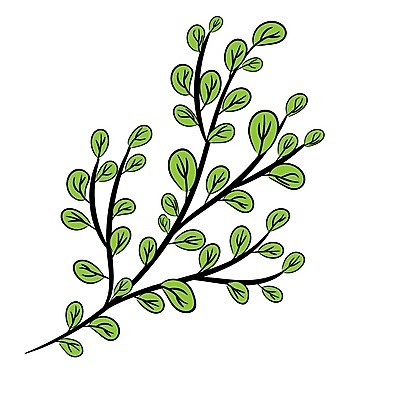 EPS 해외이미지 나무 식물 템플릿 디자인 계절 실루엣 선 백그라운드 잎 꽃무늬 패턴 일러스트 자연 추상 프레임 미술 장식 초록색 환경 정원 봄 흰색 나뭇가지 신선 숲 스케치 수집 사인 그림 초대 고립 생태학 이국적 그리너리 해외202004 해외일러스트 교육 꽃 컬러 무늬 문화예술 촬영기법 생태계 파일형식 벡터 트랜드컬러 이미지허브