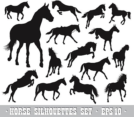 EPS 해외이미지 클립아트 동물 디자인 실루엣 야생동물 스포츠 포즈 백그라운드 일러스트 포유류 자연 미술 취미 반려동물 세트 농장 점프 검은색 목장 자유 흰색 레이스 승마 카우보이 승차 허들 수집 심볼 꼬리 윤곽 안장 고립 굴레 단아함 서쪽 디테일 해외202004 해외일러스트 컬러 컨셉 농업 모션 문화예술 촬영기법 장애물 방향 생태계 파일형식 벡터 이미지허브