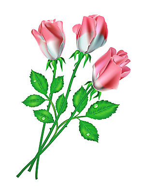 EPS 해외이미지 식물 꽃잎 꽃 줄기 백그라운드 잎 꽃무늬 패턴 일러스트 자연 발렌타인데이 사랑 미술 초록색 장미 새싹 정원 흰색 나뭇가지 가시 떨어짐 묵주 고립 해외202004 해외일러스트 나무 감정 컬러 컨셉 무늬 종교용품 데이이벤트 문화예술 생태계 파일형식 벡터 이미지허브