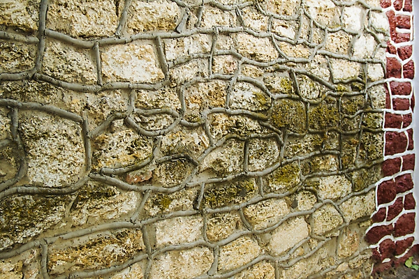 포토 JPG 해외이미지 전통 디자인 외관 벽 여행 백그라운드 컨셉 패턴 건축양식 자연 추상 벽돌 노동자 주택 아이디어 돌담 형상 사람없음 건물 블록 장비 조약돌 기도 경계선 시간 거친 질감 시멘트 동쪽 구식 순례 옛날 울퉁불퉁 유태교 이스라엘 팔레스타인 효과 해외202004 해외포토 직업 건축물 건축 선 무늬 중동 담장 돌_바위 방향 경계 생태계 서아시아 파일형식 이미지허브