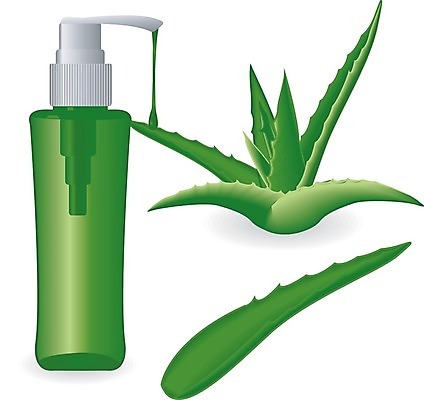 EPS 해외이미지 식물 디자인 꽃 백그라운드 잎 꽃무늬 일러스트 자연 선인장 건강 장식 초록색 약 화장품 흰색 신선 만화 허브 오브젝트 그림 유기농 내추럴 돌봄 알로에 엘리먼트 스타일 해외202004 해외일러스트 웰빙 컬러 무늬 의학 모션 뷰티 생태계 파일형식 벡터 이미지허브