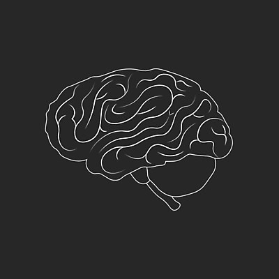 EPS 해외이미지 디자인 교육 실루엣 선 과학 백그라운드 컨셉 일러스트 해부 추상 아이디어 건강 창조 사람 그래픽 스터디 약 머리 마음 오르간 플랫 불안 심볼 사인 뇌 생물학 시스템 고립 염증 종양 지능 타격 편두통 해외202004 해외일러스트 감정 무늬 의학 모션 촬영기법 신체부위 학습 고통 건반악기 질병 파일형식 벡터 이미지허브