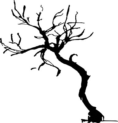 EPS 해외이미지 나무 식물 손 디자인 계절 선 줄기 겨울 일러스트 자연 잉크 미술 목재 그래픽 장식 여름 환경 정원 검은색 봄 수확 가을 흰색 나뭇가지 낙서 숲 스케치 그림 복고 윤곽 손그림 고립 생태학 해외202004 해외일러스트 교육 컬러 농업 재료 문화예술 신체부위 생태계 파일형식 벡터 이미지허브