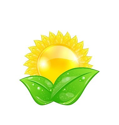 EPS 해외이미지 식물 디자인 백그라운드 잎 꽃무늬 일러스트 자연 추상 미술 초록색 여름 빛 햇빛 태양 노란색 환경 맑음 재활용 광선 흰색 떨어짐 허브 심볼 사인 에코 생물학 내추럴 고립 바이오 생태학 엘리먼트 해외202004 해외일러스트 자연요소 계절 교육 꽃 컬러 컨셉 무늬 날씨 문화예술 친환경 생태계 파일형식 벡터 이미지허브