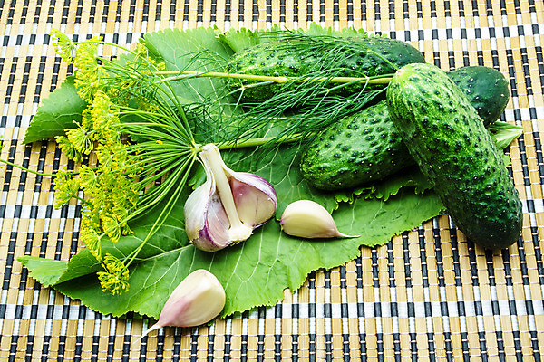 포토 JPG 해외이미지 식물 음식 백그라운드 채소 재료 자연 오이 건강 마늘 요리 사람없음 초록색 수확 시골 신선 허브 향신료 유기농 날것 피클 딜 숙성 오이피클 절임 채식주의자 핸드메이드 해외202004 해외포토 웰빙 컬러 농업 생태계 채식 향미료 파일형식 이미지허브