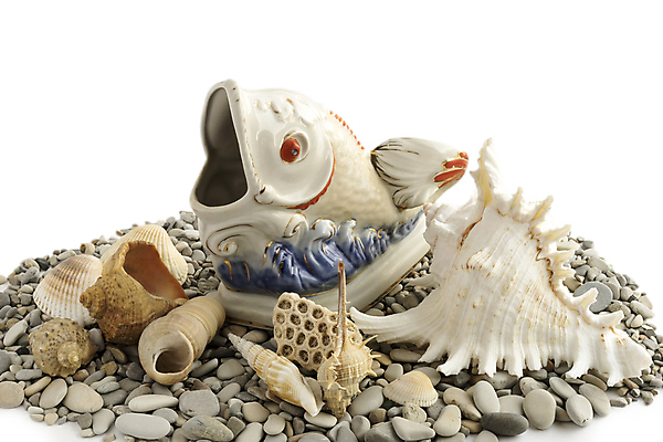 포토 JPG 해외이미지 디자인 바다 여행 자연 휴가 조개 연체동물 나선형 해변 사람없음 컬러풀 피규어 소용돌이 껍질 조약돌 흰색 도자기 수집 질감 내추럴 고립 백자 이국적 해외202004 해외포토 컬러 무늬 어패류 무척추동물 미니어처 회오리 돌_바위 생태계 파일형식 이미지허브